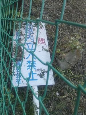 12. 8 E.JPG