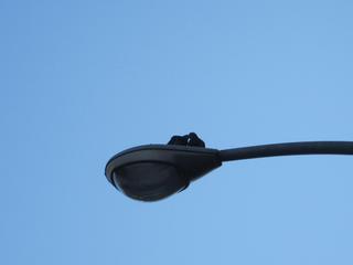 4. 8 C.jpg